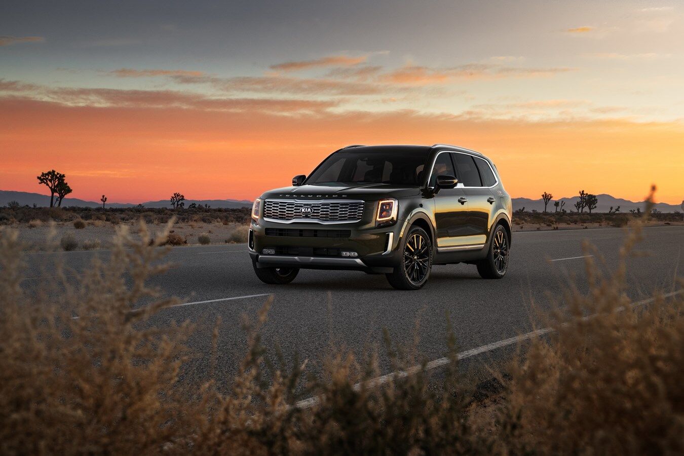 2021 Telluride